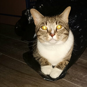 Fundraising Page: Theresa McCausland